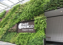     ホテル　インディゴ　シンガポール　カトン